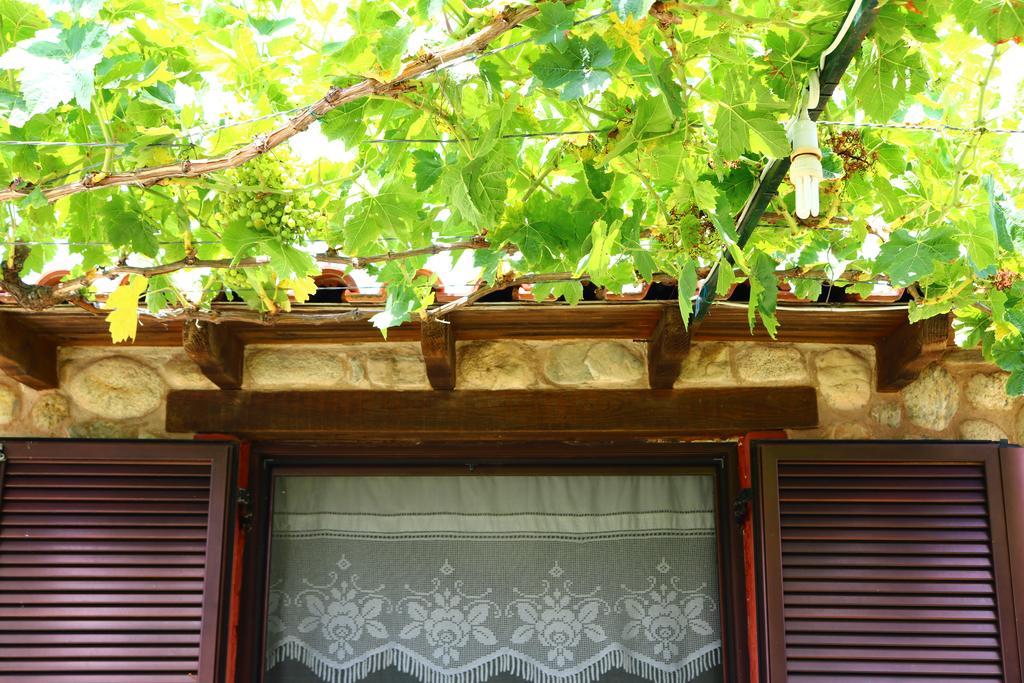 Villa Agapitos Sithonia Exterior foto